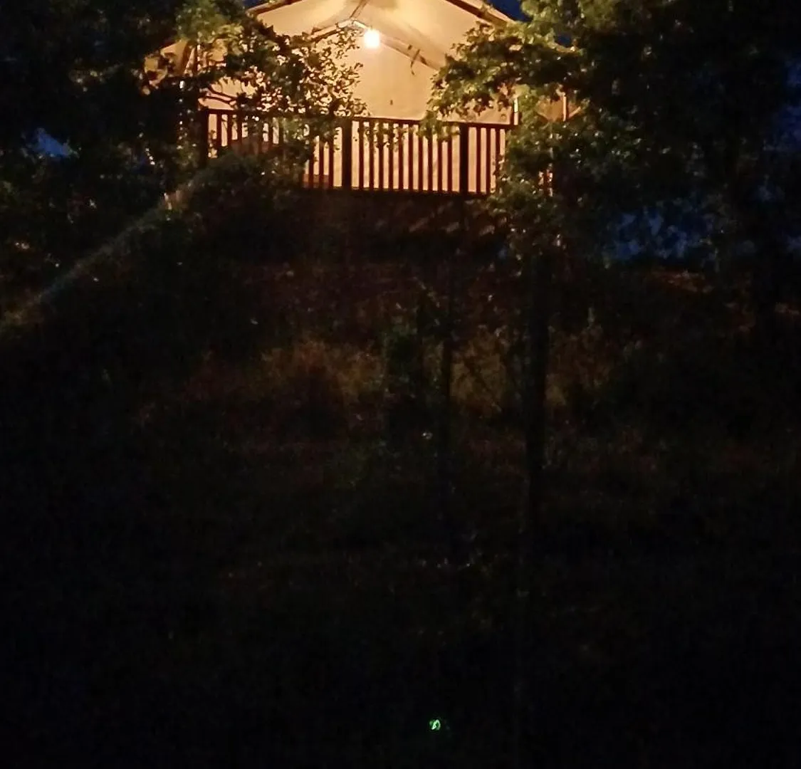 Glamping Podere Angiotto Lodge Quercia Magliano in Toscana