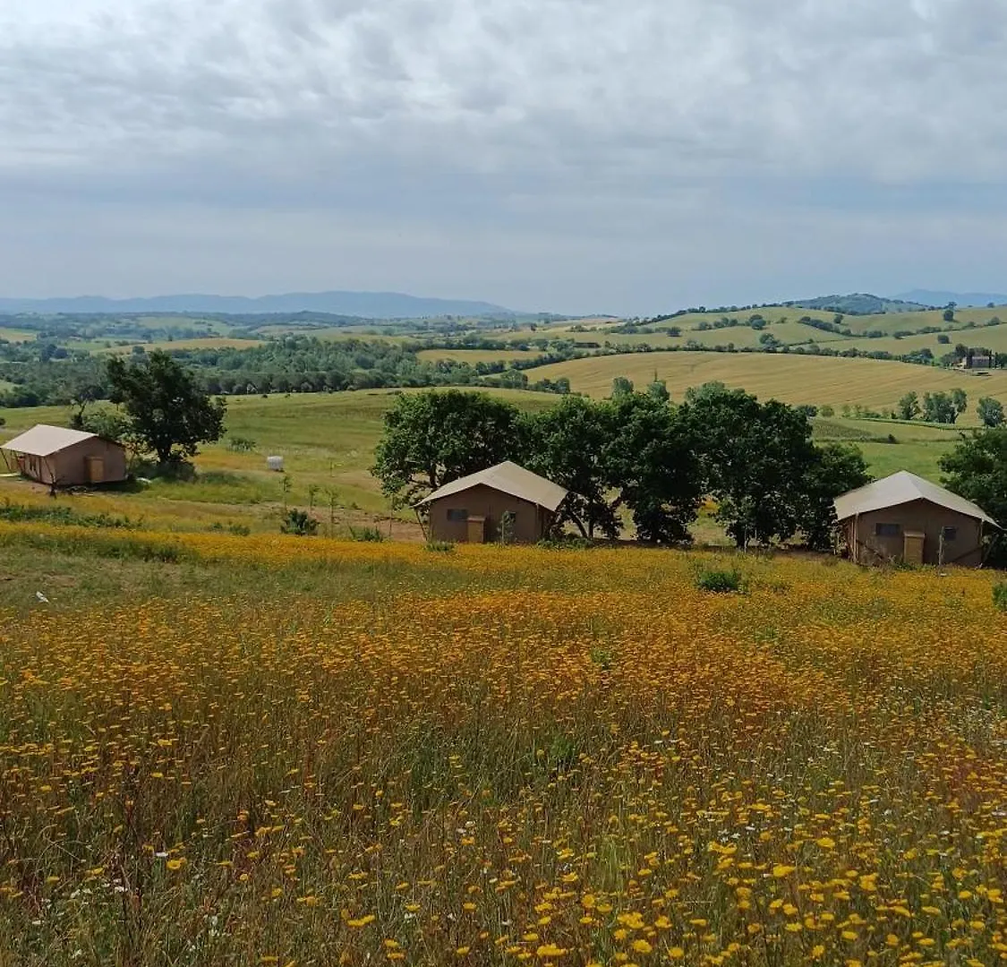Luxury tent Glamping Podere Angiotto Lodge Quercia Magliano in Toscana Italy