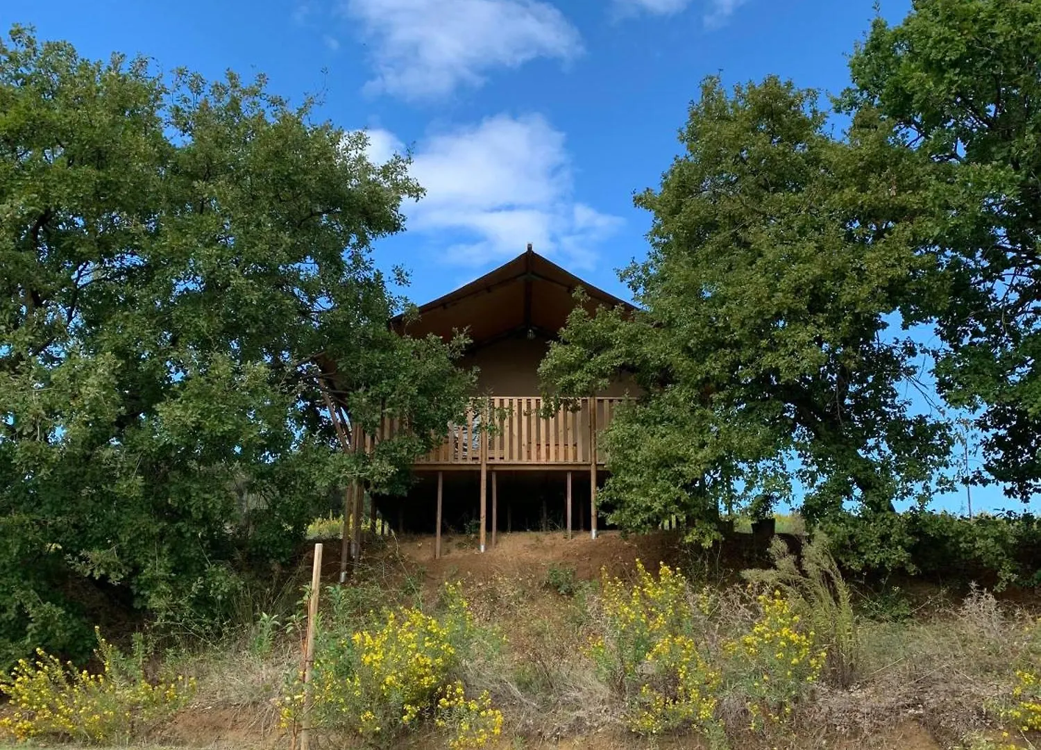 Glamping Podere Angiotto Lodge Quercia Magliano in Toscana