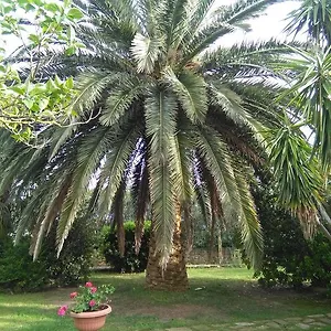 La Palma Magliano in Toscana