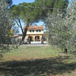 Poggio Sassineri Magliano in Toscana
